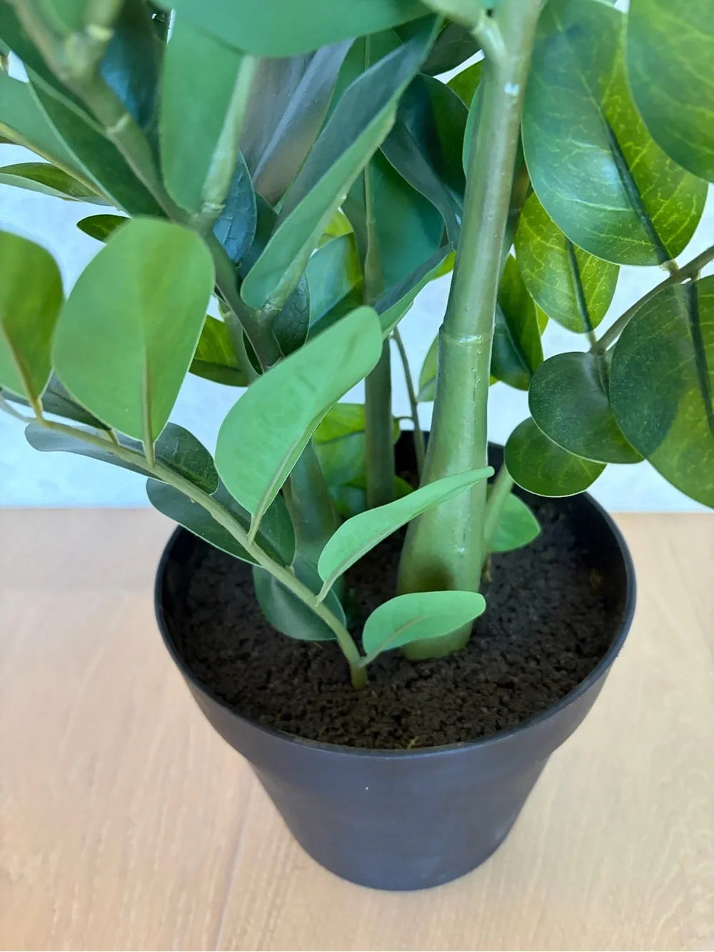 Pottery Barn Faux Potted ZZ Plant, Green, 24”H, NEW